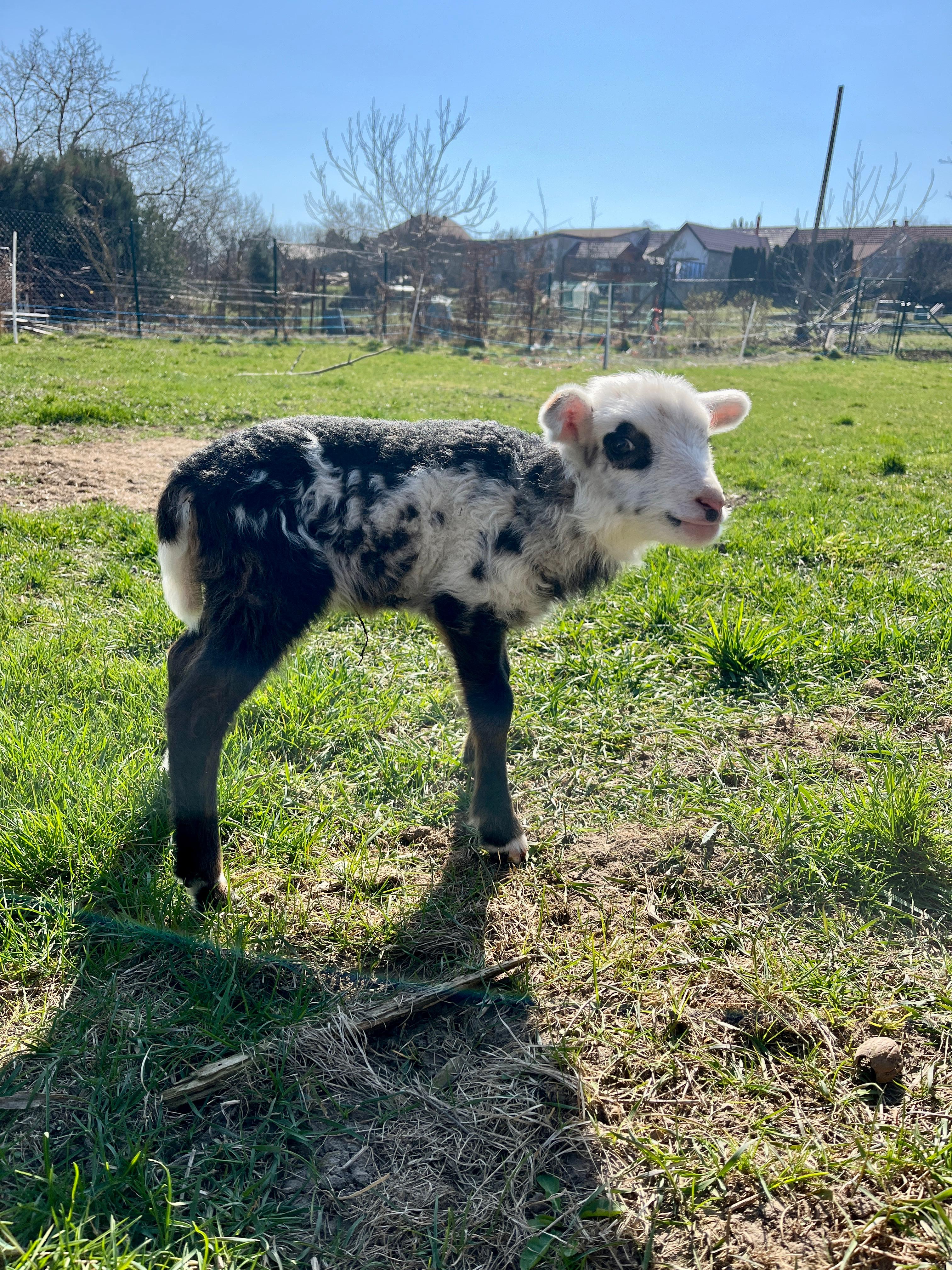 WhatsApp Image 2026-03-19 at 18.13.33